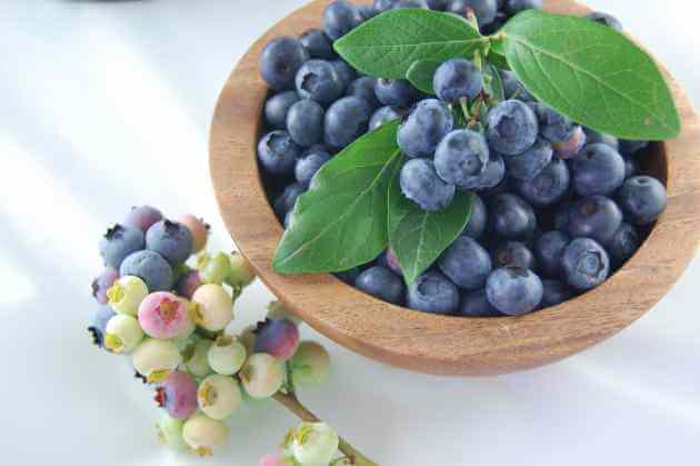 Smoothies mit Heidelbeeren und Blaubeeren