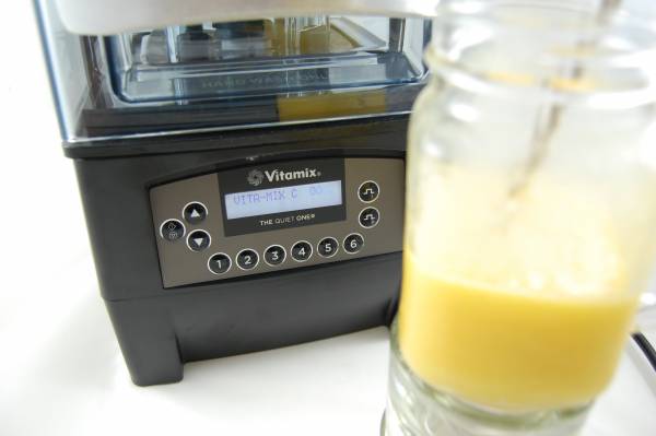 Vitamix The Quiet One Test