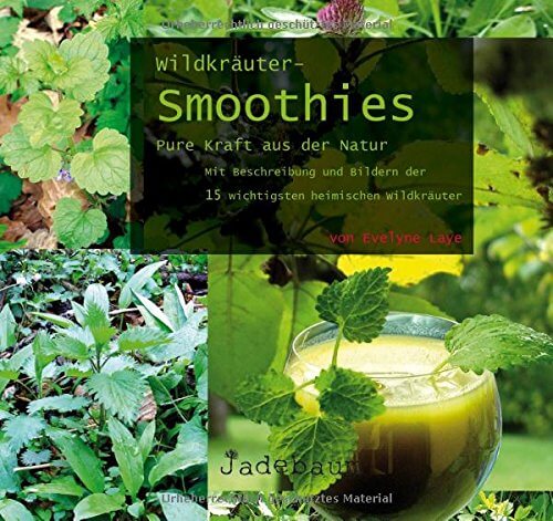Buch-Tipp: „Wildkräuter-Smoothies – Pure Kraft aus der Natur“ von Evelyne Laye