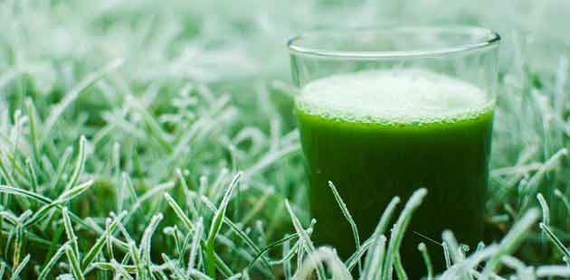Grüner Smoothie im Winter